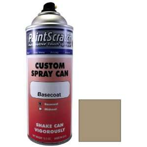  12.5 Oz. Spray Can of Shale (Interior) Touch Up Paint for 