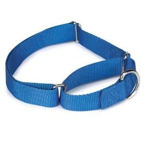  Guardian Gear Nylon/Metal Martingale Dog Collar, 18 to 26 