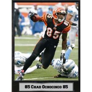   Cincinnati Bengals Chad Ochocinco 9X12 Plaque
