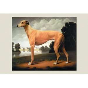  Greyhound on a Parkland Landscape 20X30 Paper with Black 