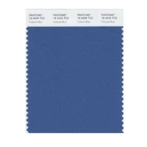  PANTONE SMART 18 4029X Color Swatch Card, Federal Blue 