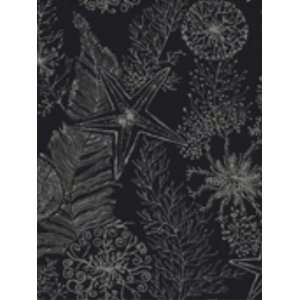 Wallpaper York By the Sea Coral Reef AC6020 