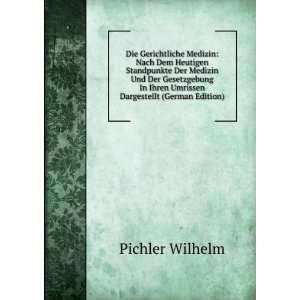   In Ihren Umrissen Dargestellt (German Edition) Pichler Wilhelm Books