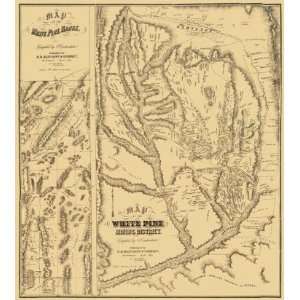 White Pine Mining NV 1869 