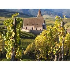  Hunawihr, Alsatian Wine Route, Alsace Region, Haut Rhin 