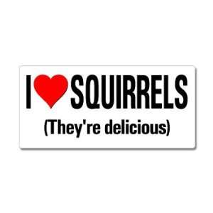  I Love Heart Squirrels Theyre Delicious   Window Bumper 