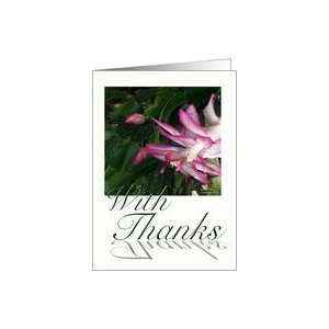 Christmas Cactus With Thanks Card