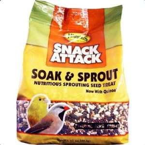 Higgins Snack Attack Soak & Sprout 12 oz 6 Pack  Grocery 