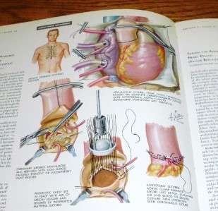 1974 THE CIBA COLLECTION OF MEDICAL ILLUSTRATIONS VOL. 5 HEART FRANK H 