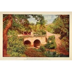  1899 Rio Bayamon Bridge Carriage Road Puerto Rico Print 