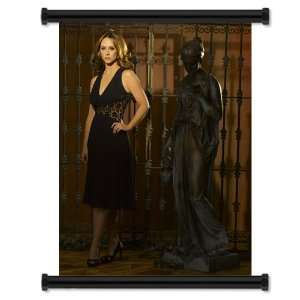  Ghost Whisperer TV Show Fabric Wall Scroll Poster (16 x 