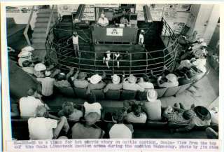 1985 Ocala Livestock Auction Cowboys Arena Cattle Industry Florida 