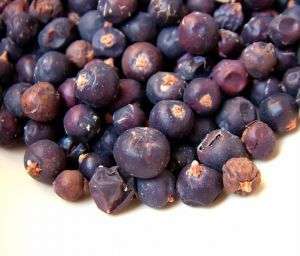Juniper Berries Whole Wildcrafted 8 oz Urinary Kidneys  