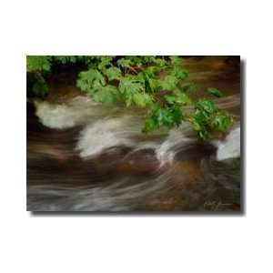  Soothing Waters Xv Giclee Print
