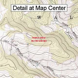 USGS Topographic Quadrangle Map   Walton West, New York 