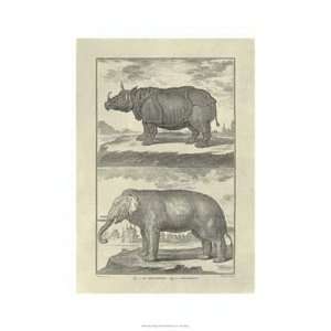  Elephant Rhino by Denis Diderot 20x26
