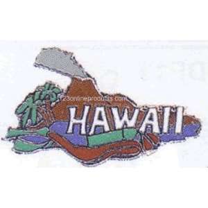  Hawaii Collectible Scuba Diving Pin