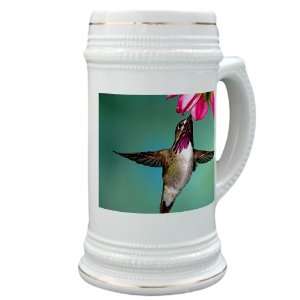Stein (Glass Drink Mug Cup) Male Calliope Hummingbird