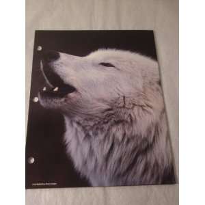 Howling Wolf Folder