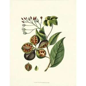   Print by Charles Francois Sellier, 14x18 