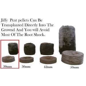 1,700 Jiffy 7 Peat Pellets 30mm   Seeds Starting   Jiffy Peat Pellet 