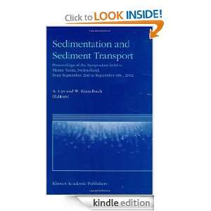 Sedimentation and Sediment Transport A. Gyr, Wolfgang Kinzelbach 