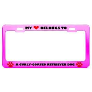 A Curly Coated Retriever Dog Pet Pink Metal License Plate 