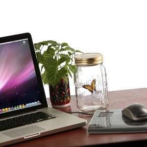  Electronic Butterfly in a Jar