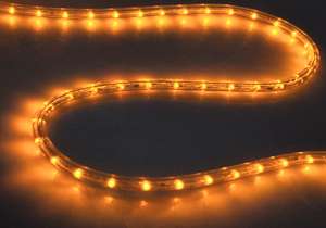 50 Yellow Amber 2 Wire LED Rope Light Indoor 110V Decorative Outdoor 