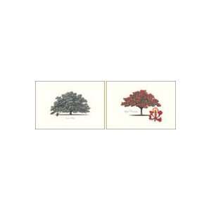  Live Oak and Royal Poinciana Note Cards Health & Personal 