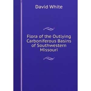 Flora of the Outlying Carboniferous Basins of Southwestern 