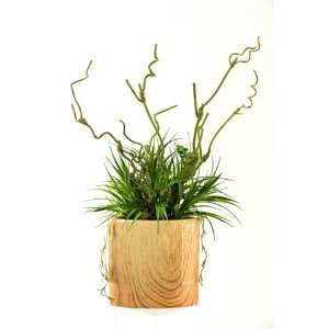   Grass And Moss Branch In Woodgrain Oval Planter Patio, Lawn & Garden