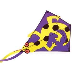  Go Fly A Kite Lizard Classic Diamond Kite Toys & Games