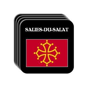  Midi Pyrenees   SALIES DU SALAT Set of 4 Mini Mousepad 