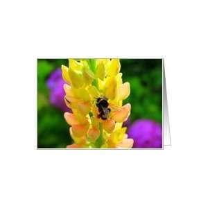  Pollination Its a good thing   blank card Card Health 