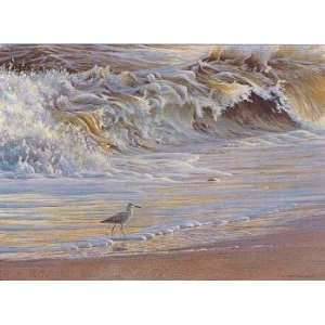 Robert Bateman   Willet on the Shore 