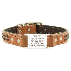 DogIDs Roughrider Leather ScruffTagTM Collar   1 x 16 
