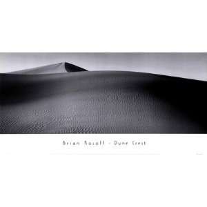   Dune Crest Finest LAMINATED Print Brian Kosoff 20x10