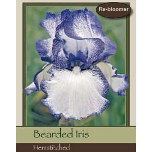  Bearded Iris Hemstitched Patio, Lawn & Garden