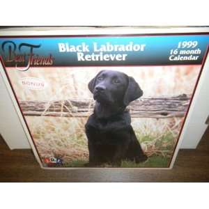  Black Labrador Retriever  Best Friends 1999 16mth Calendar 