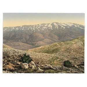  Mount Hermon,Holy Land (i.e.,Lebanon,Syria),1890s