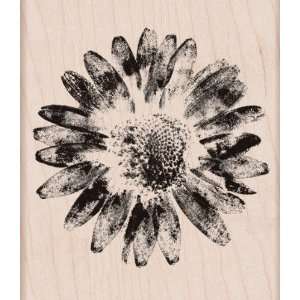  Hero Arts Mounted Rubber Stamps   Real Blossom