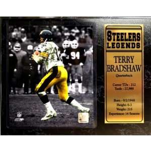  684118   Steelers Legends Terry Bradshaw 12X15 Plaque Case 
