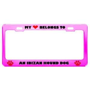  An Ibizan Hound Dog Pet Pink Metal License Plate Frame Tag 