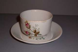 Ironstone Handleless Cup Saucer Alfred Meakin Moss Rose  