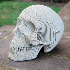  Vince The Human Skull Recycled Cardboard Sculpture White 