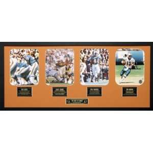  Miami Dolphins Team History Collage