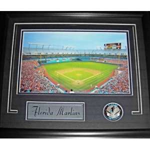  Pro Player Stadium Framed Photograph with Medallion 