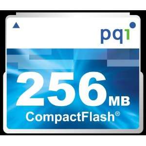   Speed Compact Flash Memory Card AC51 2560 0101 (Retail) Electronics