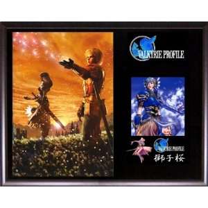  Valkyrie Profile Lenneth & Lucian Collectible Plaque 